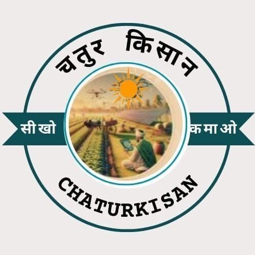 चतुर किसान